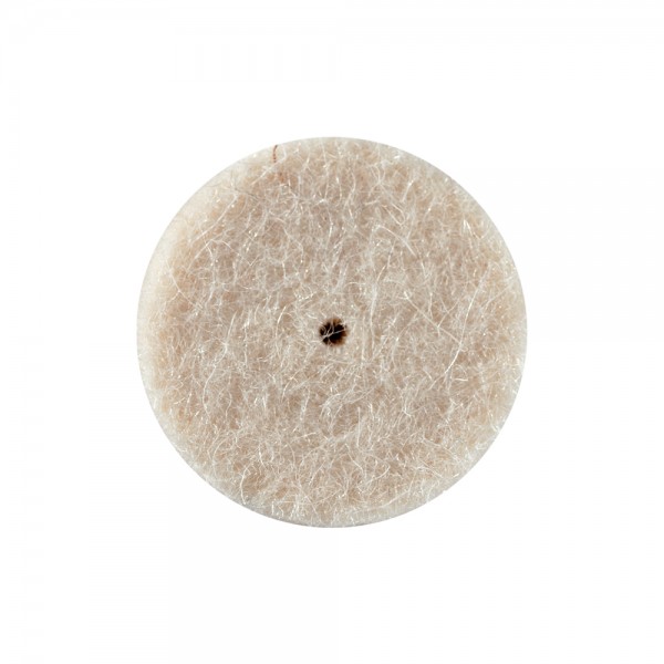 Filcis ripa, 22*5