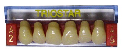 TrioStar Akrila zobi, priekšējie