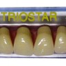 TrioStar Akrila zobi, priekšējie