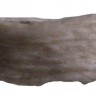 Lupatu birste