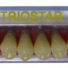 TrioStar Akrila sānu zobi