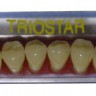 TrioStar Akrila sānu zobi